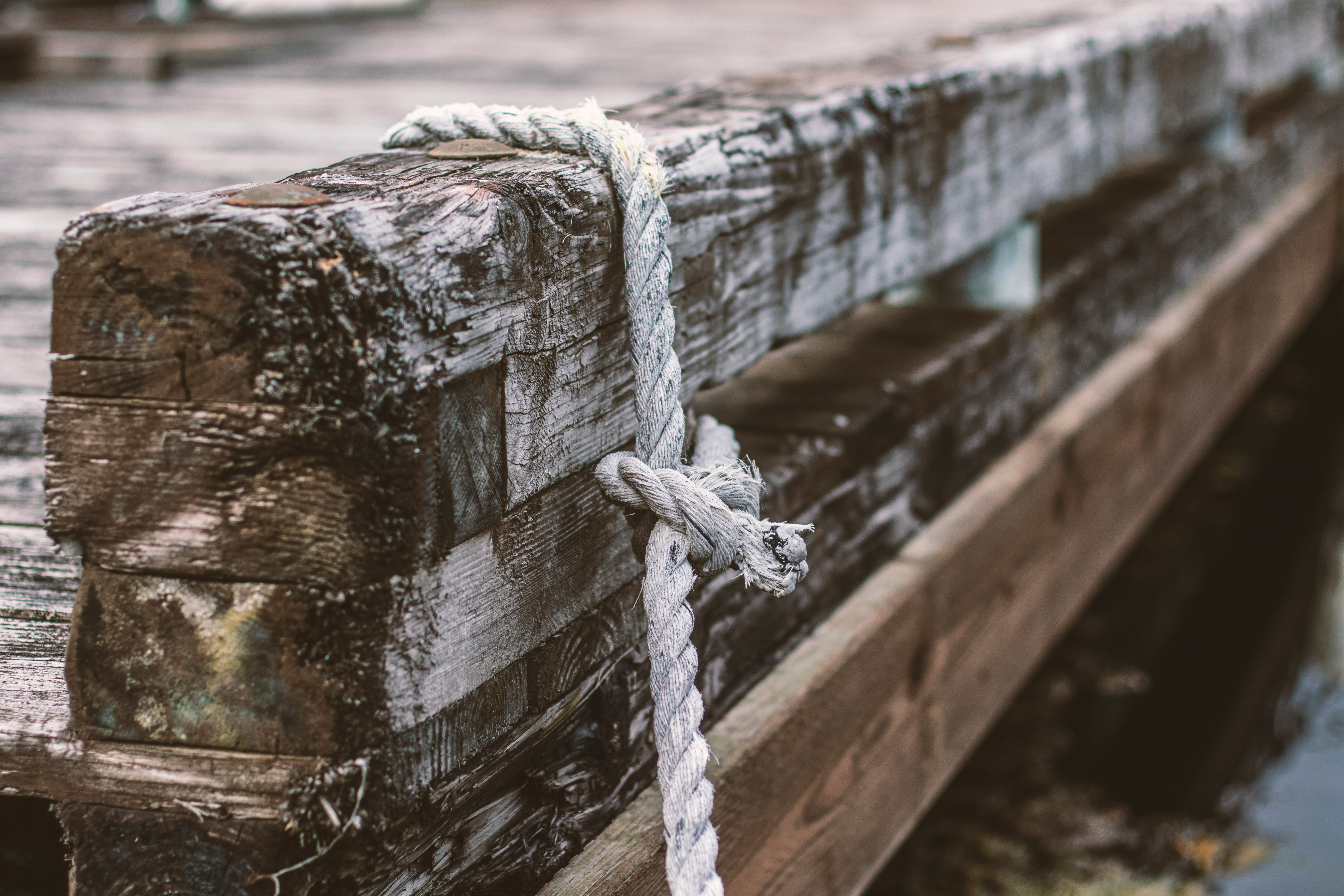 brown wooden log with rope